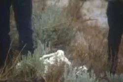 调查人员在现场