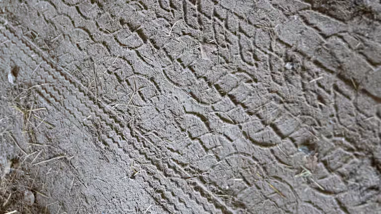 谷仓地面上清晰可见的车辆轮胎痕迹