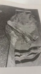 芬兰烤炉杀人案相关图片