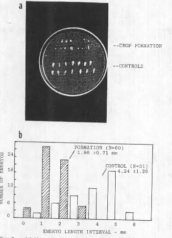 麦田怪圈种子异常