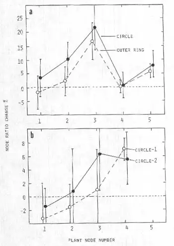 麦田怪圈节点异常