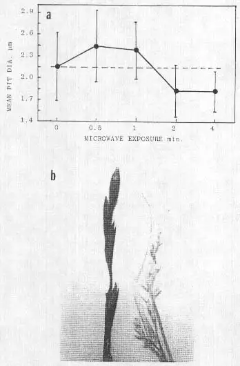 麦田怪圈微波实验