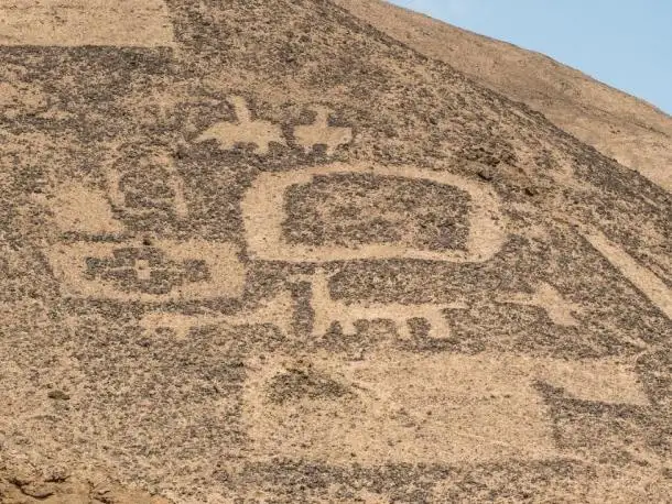 美洲驼商队地画