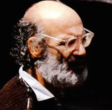 1980年代的亚历山大·格罗滕迪克，孤独的数学隐士