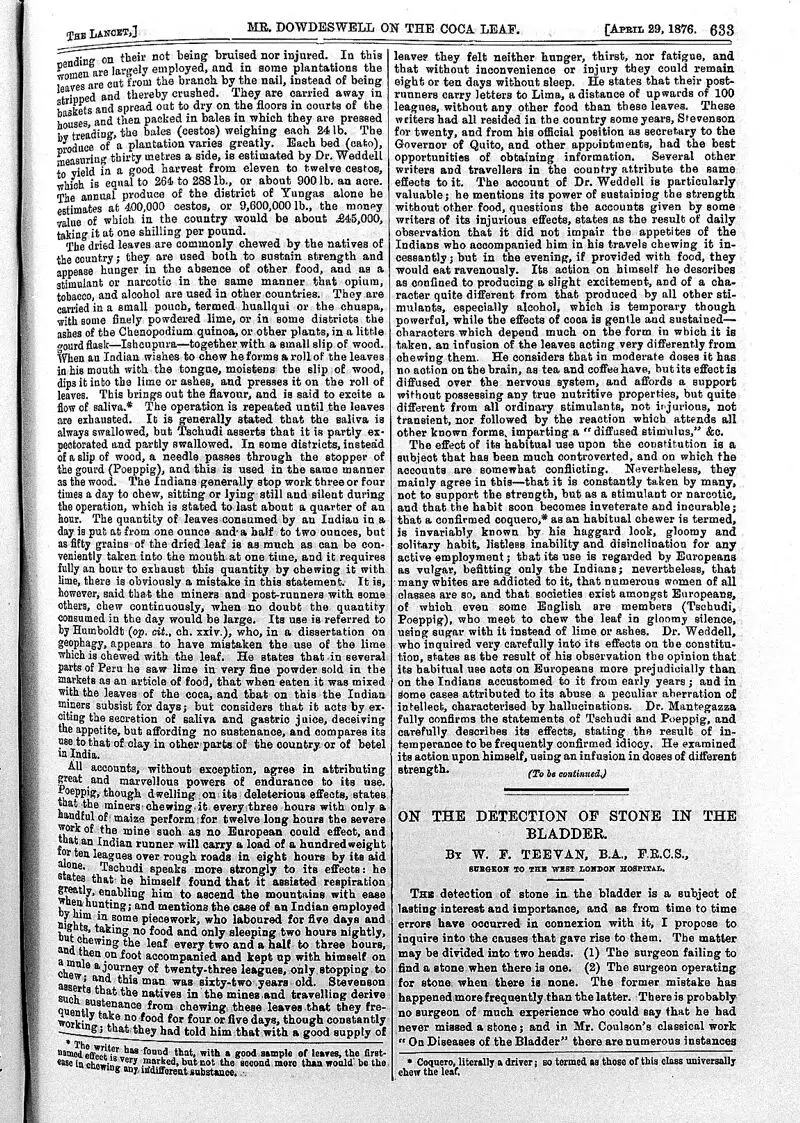 血吸虫病理切片