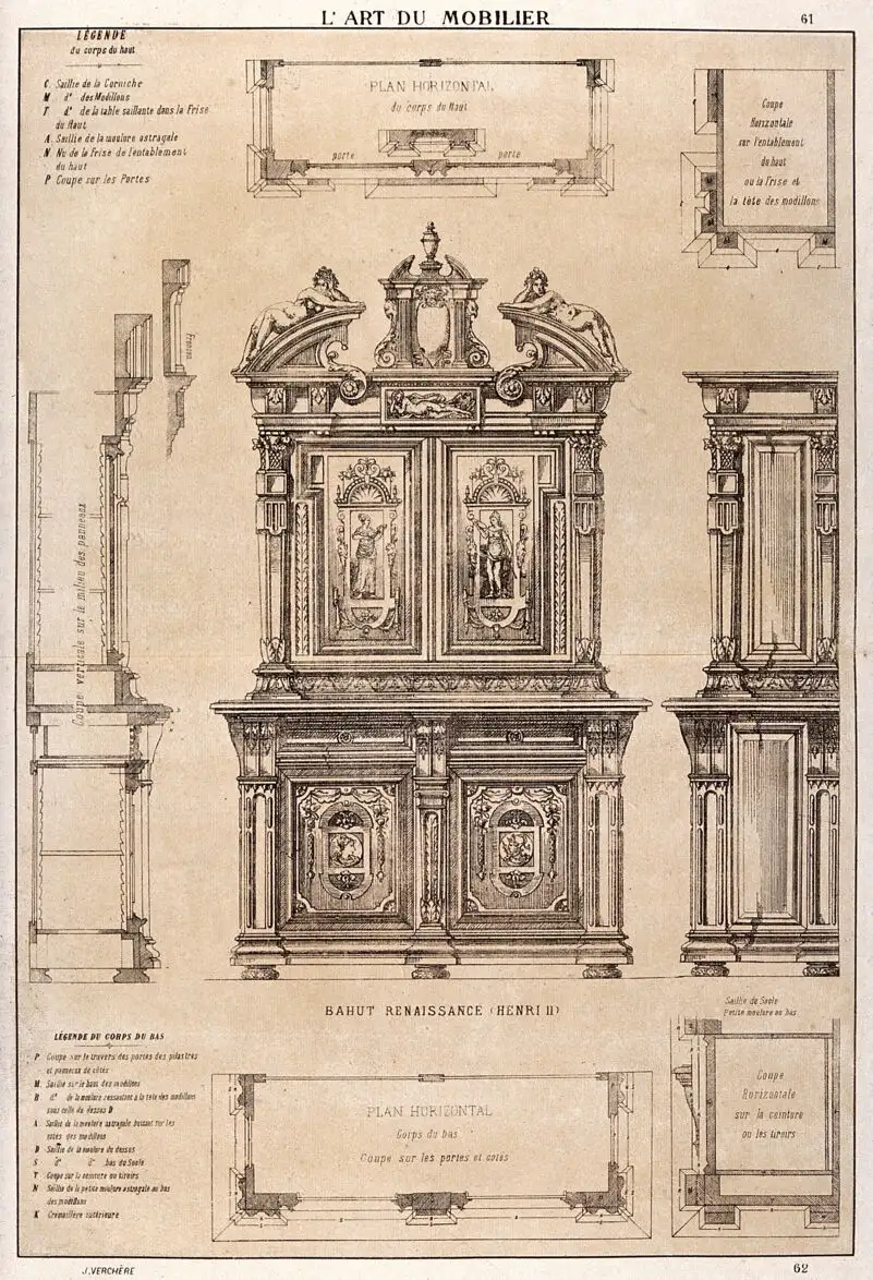 血吸虫成虫显微图像，显示雄虫抱着雌虫的特征形态