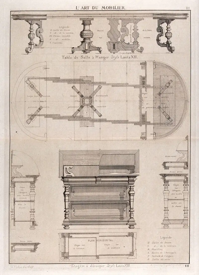 血吸虫卵显微图