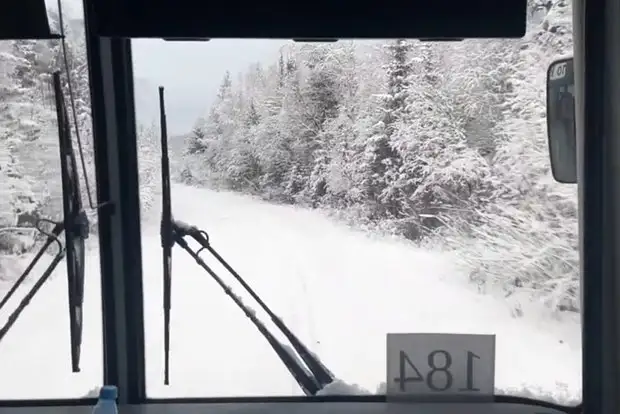 搜救人员在雪地中搜索