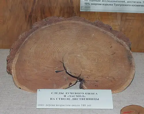 莫斯科大学收藏的通古斯样本