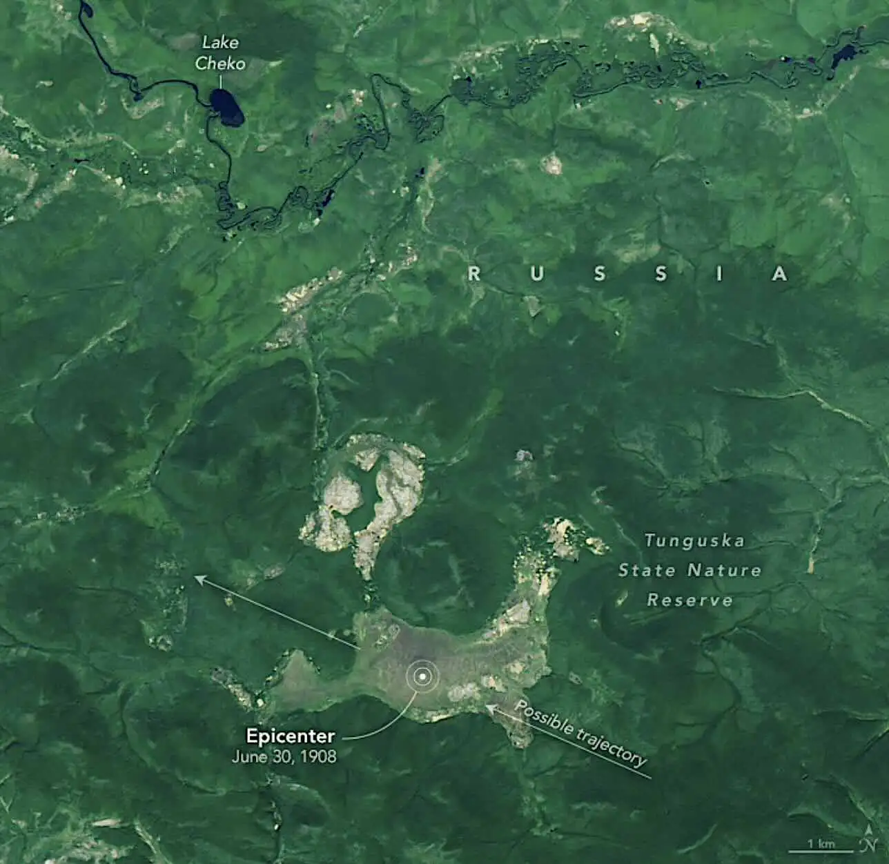 通古斯大爆炸现场细节图