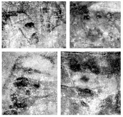 SEIP组织制造的"新人脸"与原始人脸的对比