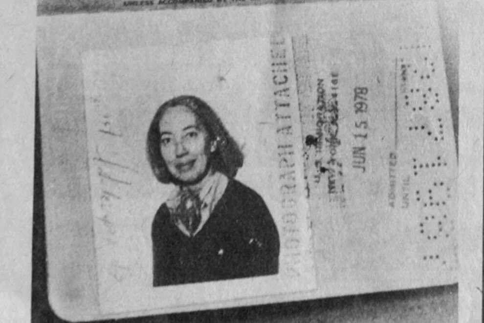 南塔克特岛汤姆内弗斯地区的荒野