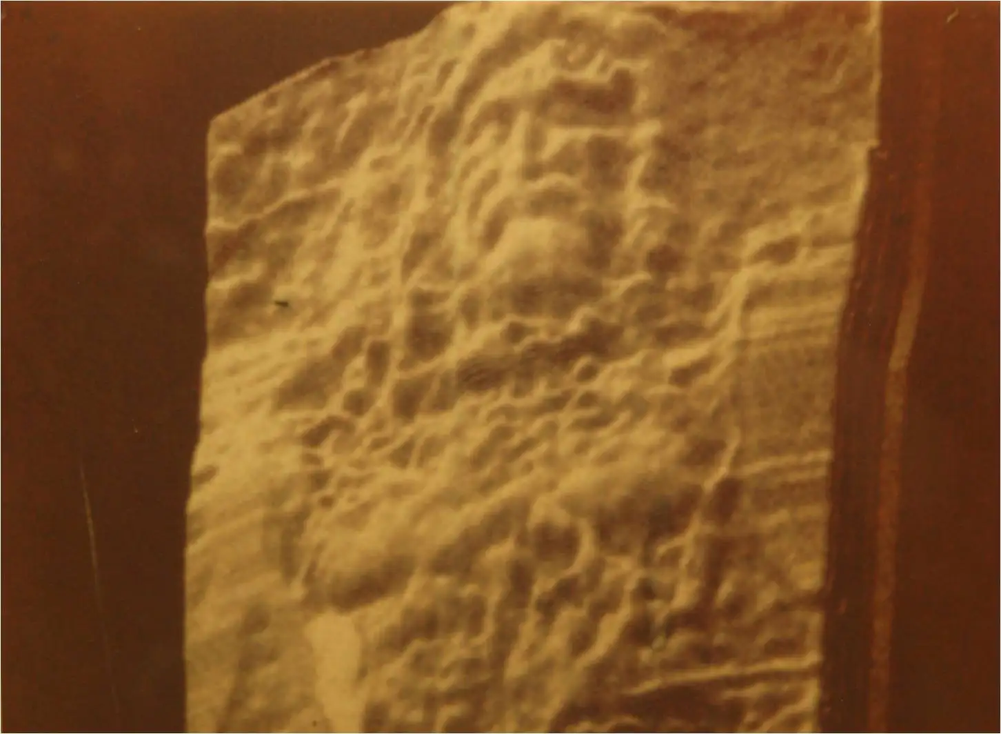 VP-8分析显示的裹尸布面部和身体图像