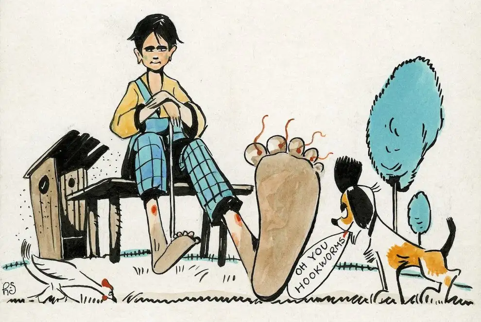 钩虫的显微镜图片