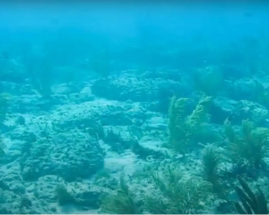 比米尼路水下照片