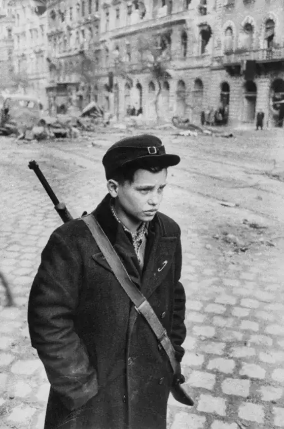 十五岁的自由战士帕尔·普鲁克