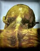 奥茨冰人全身重建模型