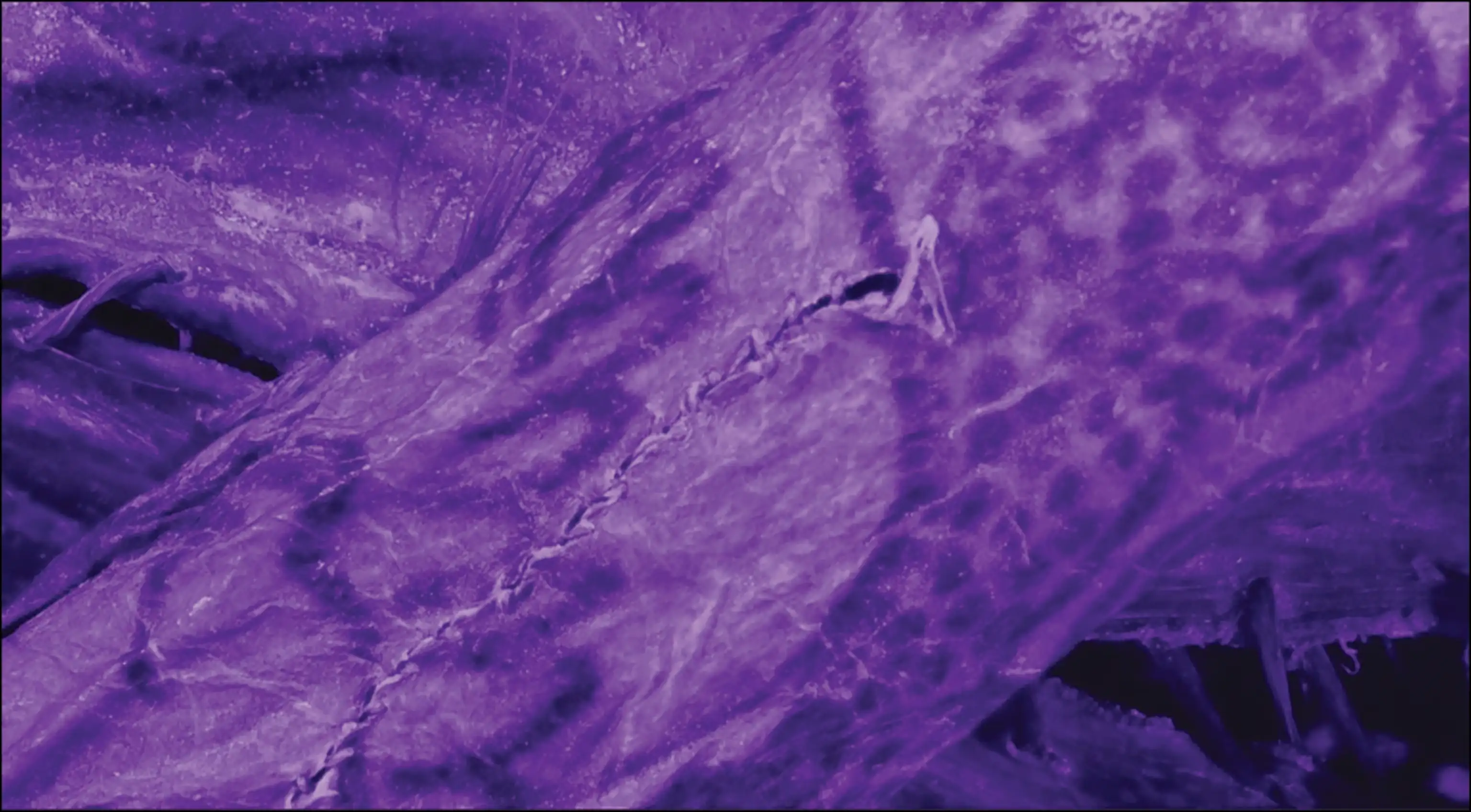 巴泽雷克木乃伊三维模型