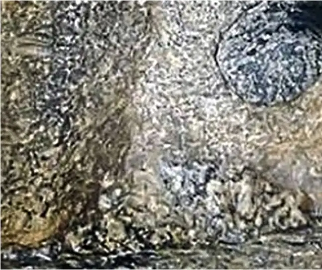 阿尤德楔子表面的点蚀痕迹