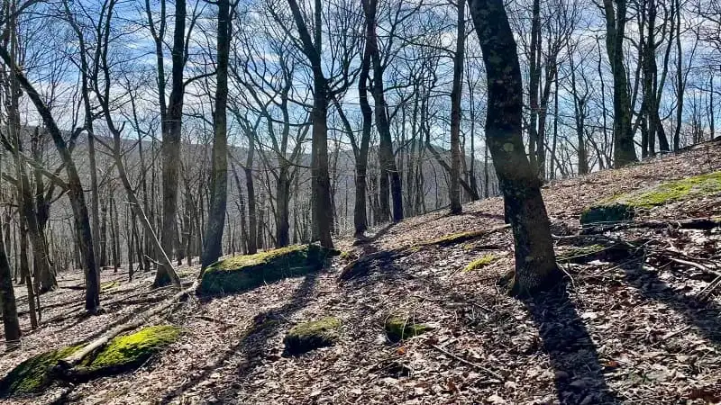 科尔山的岩石景观