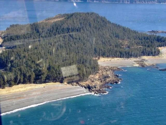 Port Chatham地区航拍图