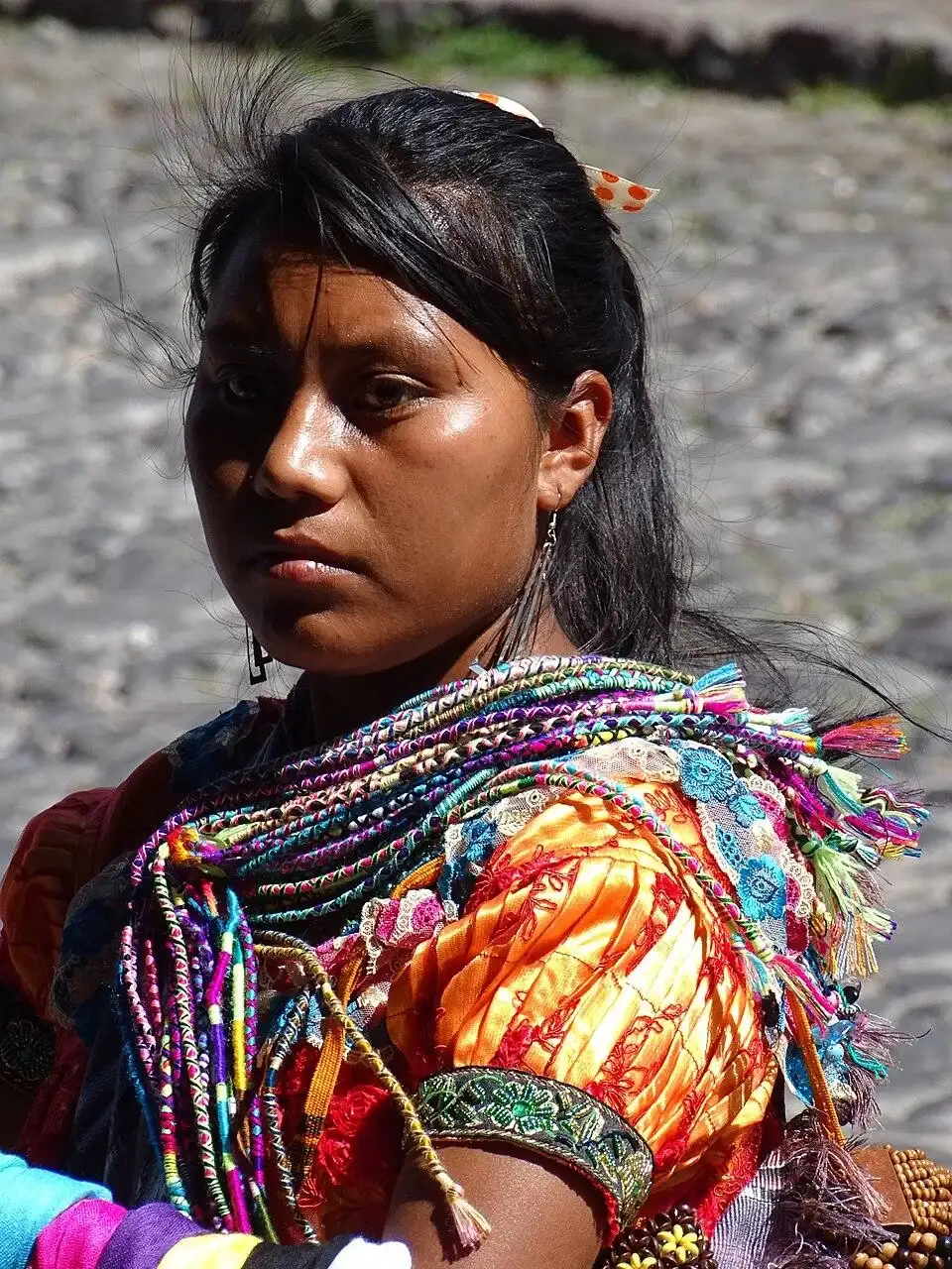 玛雅农业基础设施