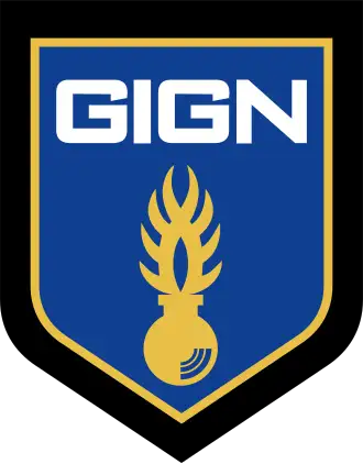 GIGN徽章