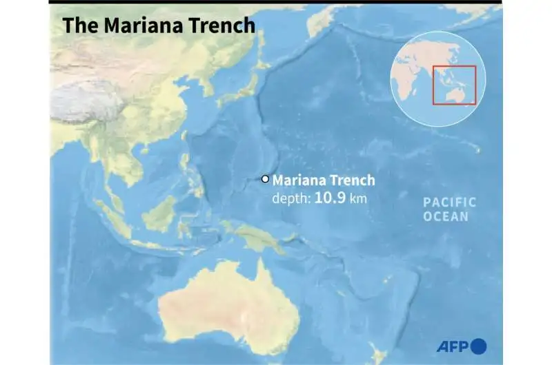A Chinese submersible has found creatures thriving at nearly 10 kilometers below sea level in the Mariana Trench