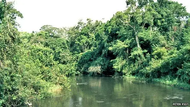 1976年的埃博拉河