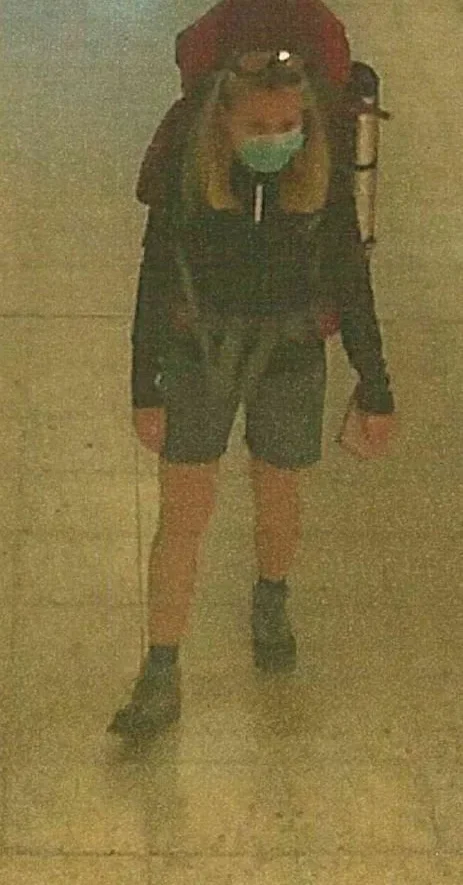 Scarlett在徒步中