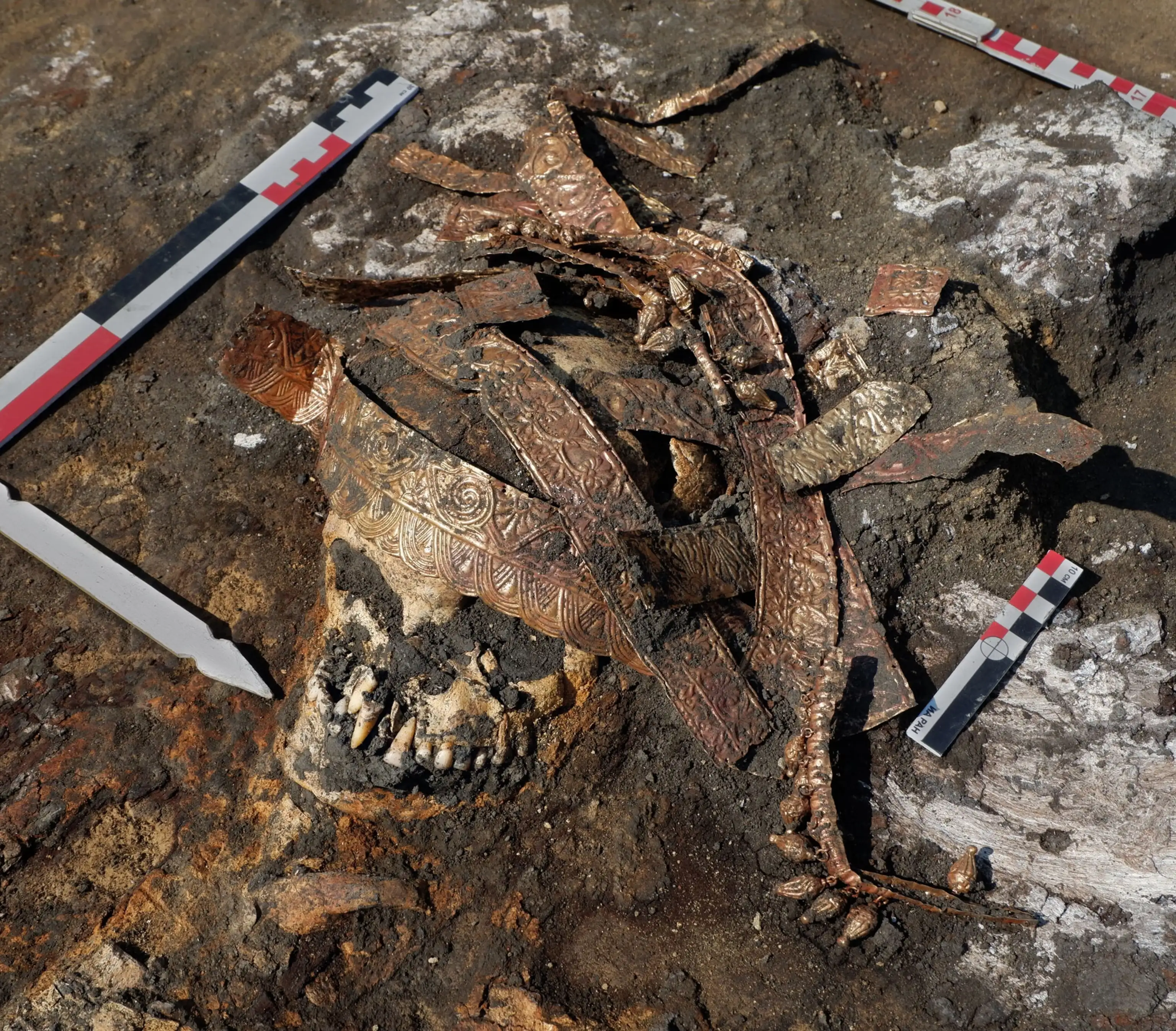 斯基泰女性战士的头骨，仍戴着精致的黄金头饰