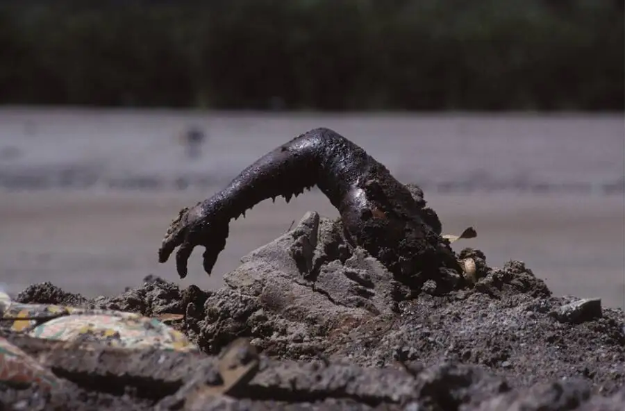 泥浆中受害者的手