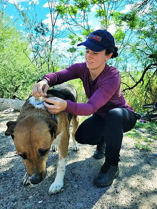 落基山斑疹热宣传海报