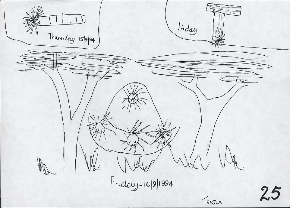 学生的画作显示星期四的雪茄形物体和星期五的圆盘形物体