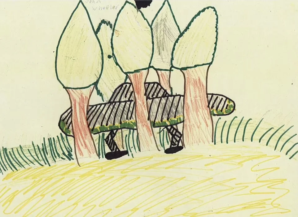 研究人员在学校让孩子们画出他们所见之物，趁记忆还新鲜时记录下来