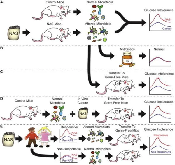 NAS microbiome experiment design