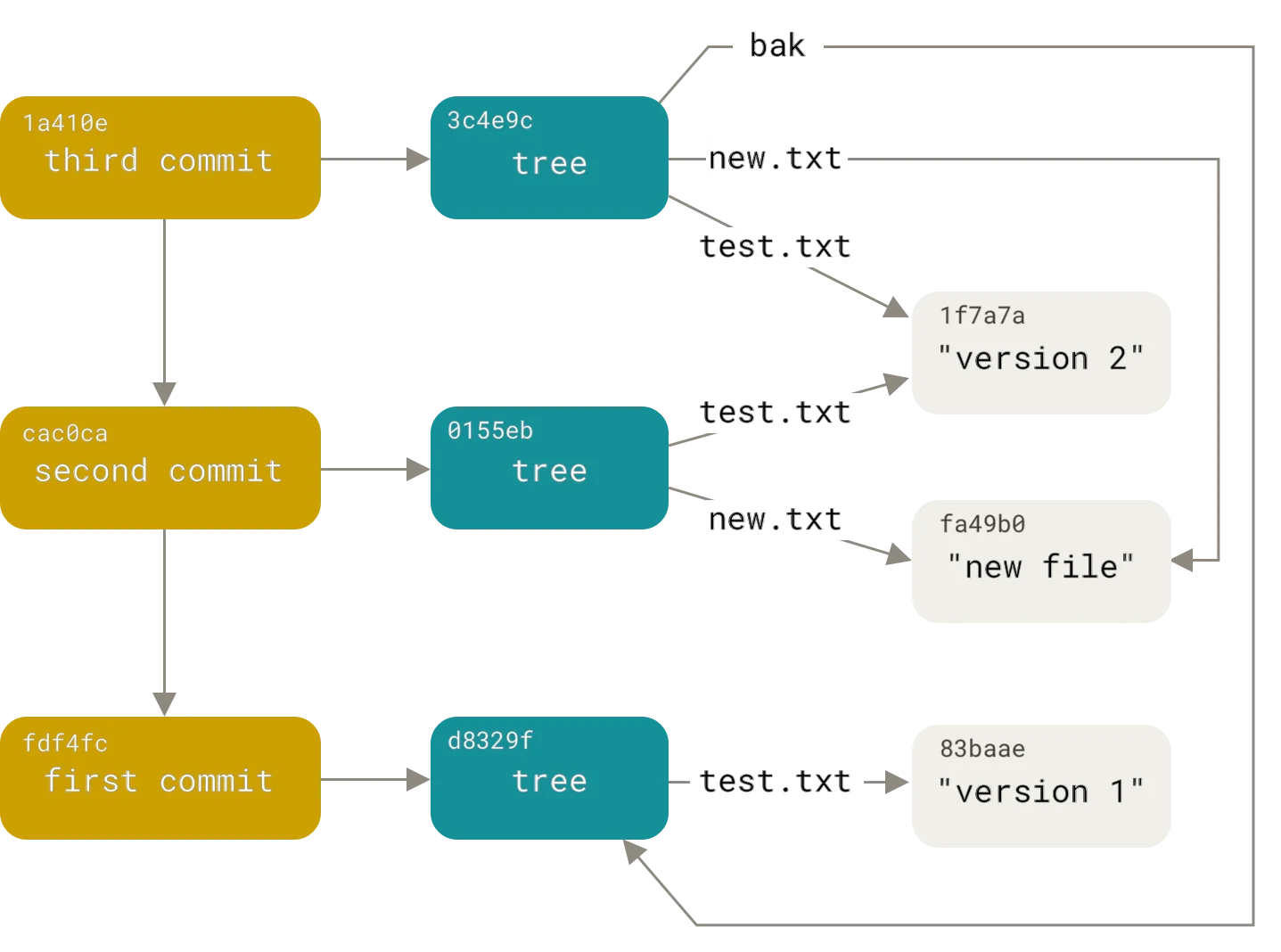 Git object model showing how commits reference trees, which reference blobs and other trees